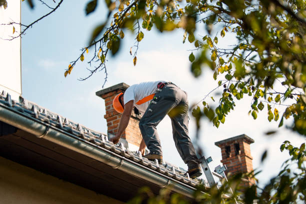 Roof Gutter Cleaning in Paintsville, KY