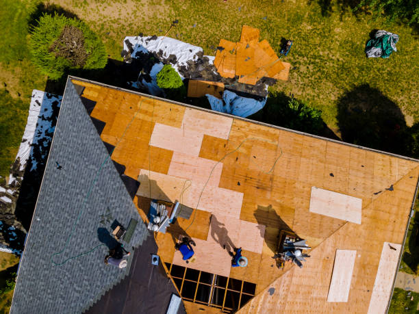 Best Flat Roof Repair Services  in Paintsville, KY